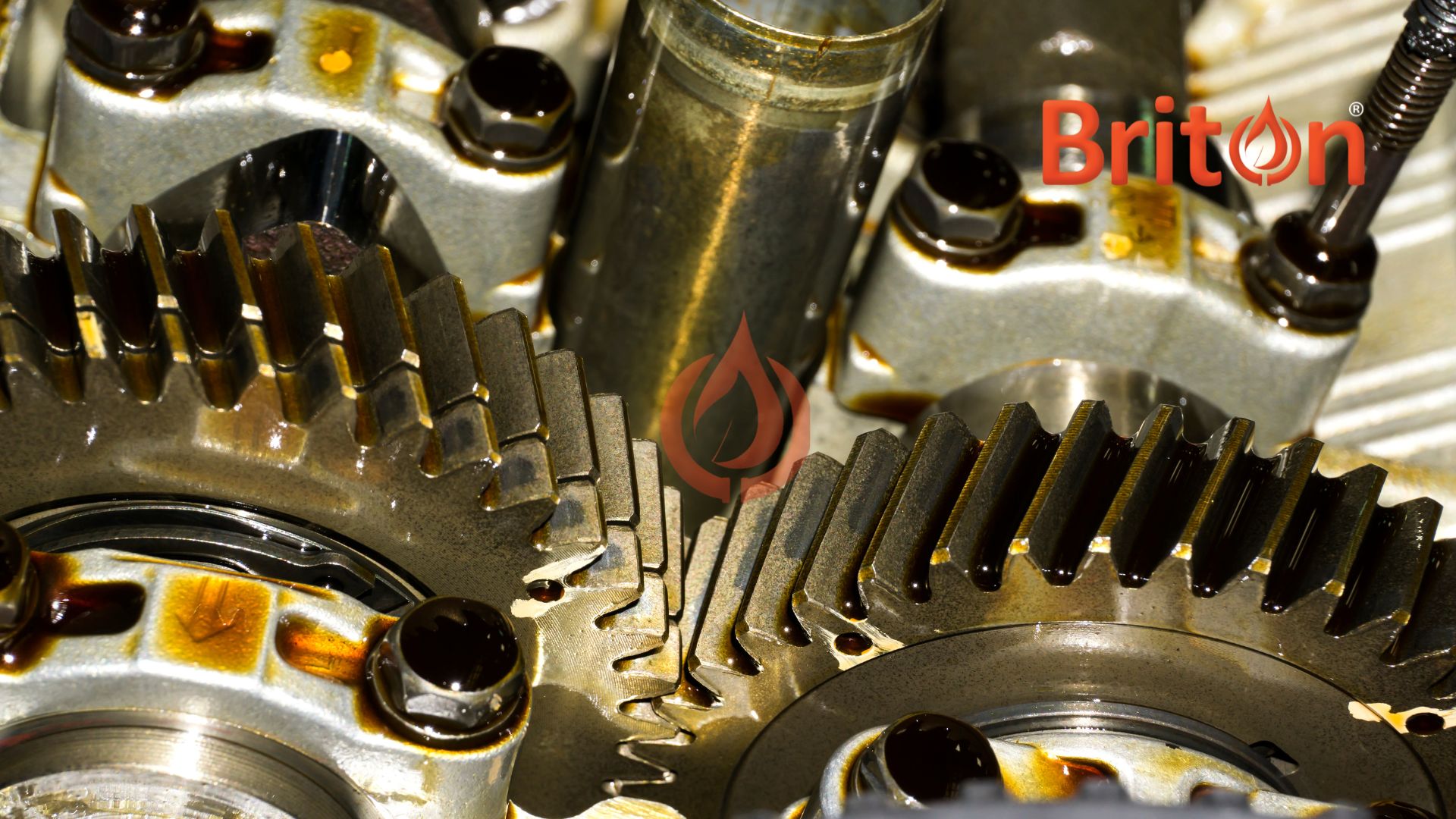 Local Lubricant Buyers in Dubai